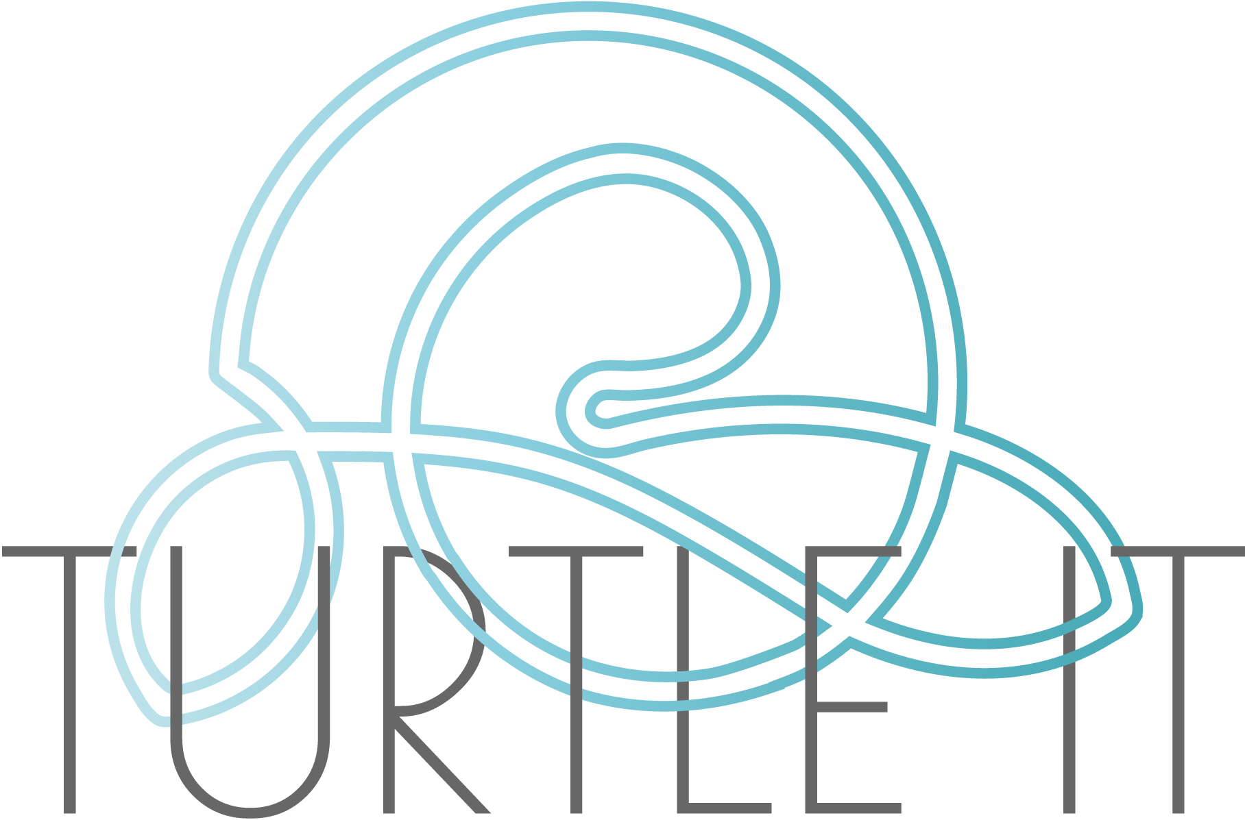 Turtle IT logó